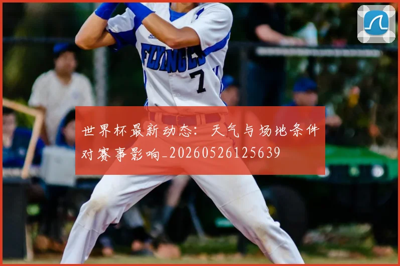 世界杯最新动态：天气与场地条件对赛事影响_20260526125639